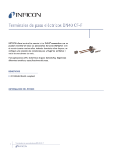 Terminales de paso eléctricos DN40 CF-F - Products
