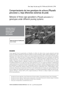 Comportamiento de tres genotipos de uchuva (Physalis peruviana L
