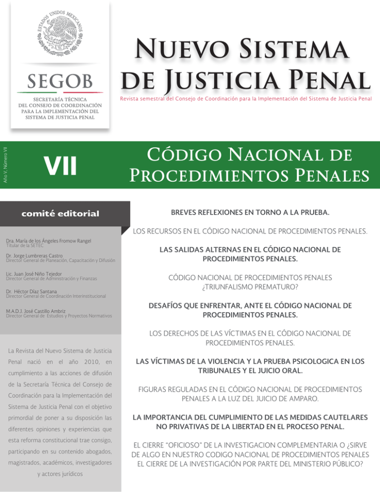 Nuevo Sistema de Justicia Penal