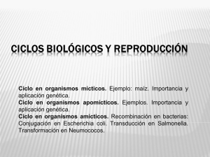 Ciclos Biológicos y Reproducción