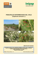 PRINCIPALES ENFERMEDADES DEL CHILE (Capsicum annuum L.)
