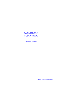 Guía Visual Datastream