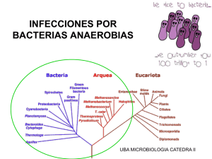 INFECCIONES POR BACTERIAS ANAEROBIAS