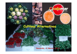 Cultivos Alternativos. - Fundación Cajamar Comunidad Valenciana
