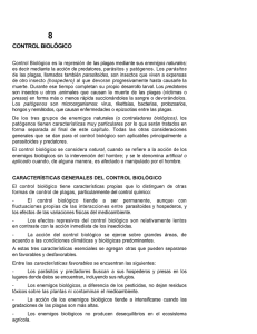 Control Biológico - Avocadosource.com