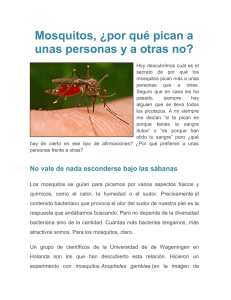 Mosquitos, ¿por qué pican a unas personas y a otras no?