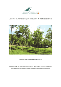 Informe Claras - Bosques Naturales
