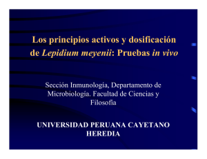 Los principios activos y dosificación de Lepidium meyenii: Pruebas