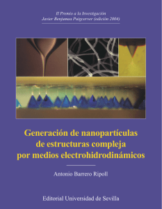 Generación de nanopartículas de estructura compleja por medios