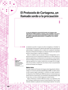 El Protocolo de Cartagena, un llamado sordo a la precaución