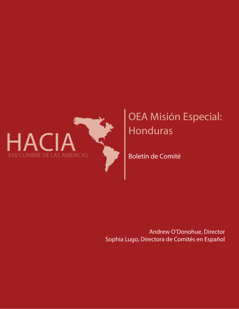 OEA Misión Especial: Honduras