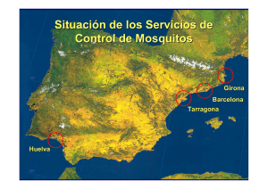 7. Control mosquitos en el Delta d´Ebre. Raul Escorsa