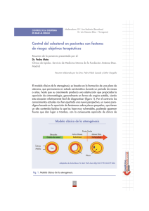 Control del colesterol en pacientes con factores de riesgo