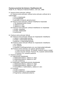 fractura proximal humero