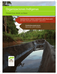 Organizaciones Indígenas - Derecho, Ambiente y Recursos Naturales