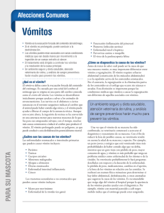 V&oacute;mitos