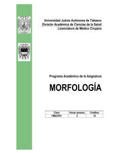 morfología - DACS - Universidad Juárez Autónoma de Tabasco