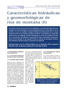 Características hidráulicas y geomorfológicas de ríos de montaña (II)