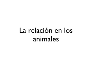 La relación en los animales I