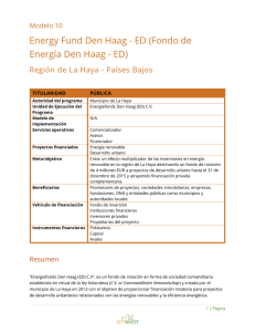 Energy Fund Den Haag - ED (Fondo de Energía Den