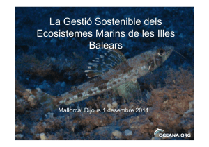 La Gestió Sostenible dels Ecosistemes Marins de les Illes