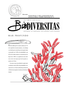 mar profundo - Biodiversidad Mexicana