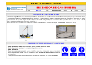 NSH 214 - Encenedor de gas (Bunsen)