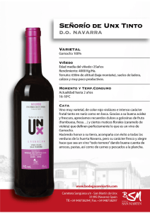 Ver ficha t&eacute;cnica - Bodegas San Mart&iacute;n