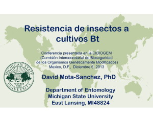 Resistencia de insectos a cultivos Bt
