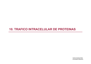 10. trafico intracelular de proteinas - OCW Usal