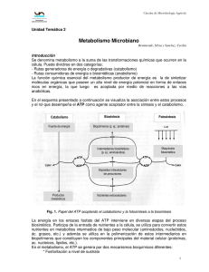 Metabolismo Microbiano - Facultad de Ciencias Agropecuarias UNER