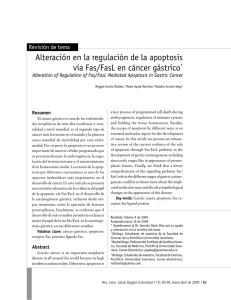 Alteración en la regulación de la apoptosis vía Fas/FasL en cáncer