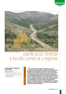 Integración de la conectividad ecológica de los bosques en los