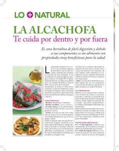 la alcachofa - Soria Natural