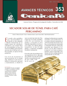 secador solar de túnel para café pergamino