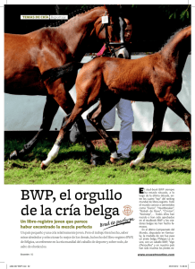 BWP, el orgullo de la cría belga