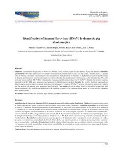 Identification of human Norovirus (HNoV) in domestic pig stool