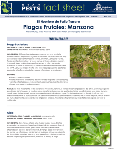 Plagas Frutales: Manzana