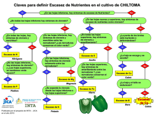 Escasez de nutrientes en Chiltoma (PDF/503KB)