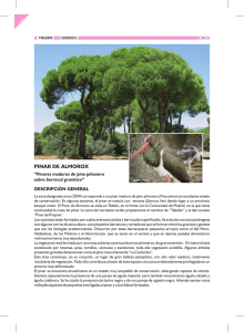 Ficha descriptiva del Pinar de Almorox - Gobierno de Castilla
