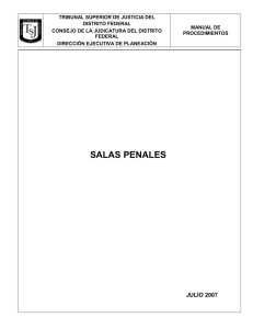 Manual de procedimientos Salas Penales