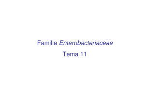 Familia Enterobacteriaceae Tema 11