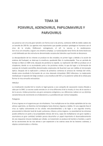 tema 38 poxvirus, adenovirus, papilomavirus y