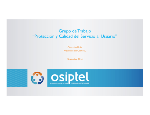 Grupo de Trabajo “Protección y Calidad del Servicio al Usuario”