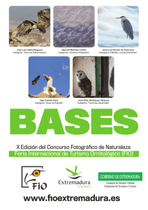 Bases FIO 2015.indd