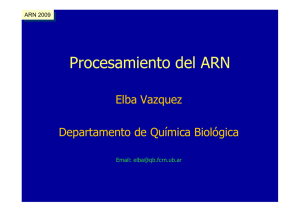 Diapositiva 1 - Departamento de Quimica Biologica