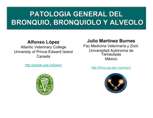 patologia general del bronquio, bronquiolo y alveolo