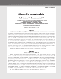 Mitocondria y muerte celular - Universidad Colegio Mayor de