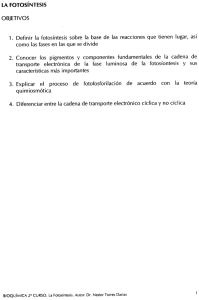 Page 1 LA FOTOSíNTESIS OBJETIVOS 1. Definir la fotosíntesis