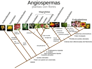 Angiospermas plantas con flores